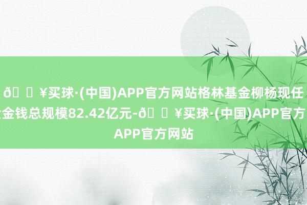 🔥买球·(中国)APP官方网站格林基金柳杨现任基金金钱总规模82.42亿元-🔥买球·(中国)APP官方网站