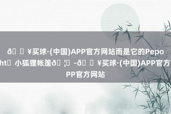 🔥买球·(中国)APP官方网站而是它的Pepo Light	小狐狸帐篷🦊-🔥买球·(中国)APP官方网站