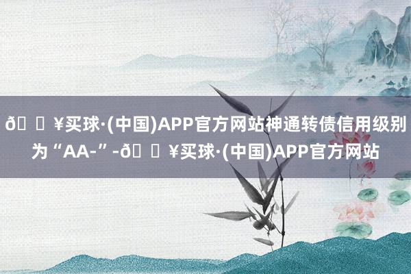 🔥买球·(中国)APP官方网站神通转债信用级别为“AA-”-🔥买球·(中国)APP官方网站