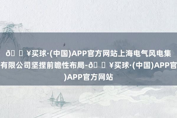 🔥买球·(中国)APP官方网站上海电气风电集团股份有限公司坚捏前瞻性布局-🔥买球·(中国)APP官方网站