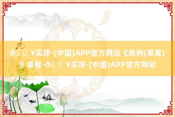 🔥买球·(中国)APP官方网站　　《条例(草案)》章程-🔥买球·(中国)APP官方网站