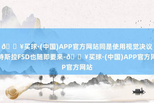 🔥买球·(中国)APP官方网站同是使用视觉决议的特斯拉FSD也随即要来-🔥买球·(中国)APP官方网站