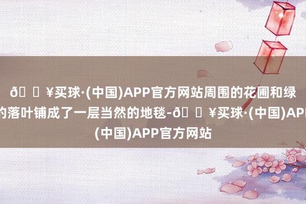 🔥买球·(中国)APP官方网站周围的花圃和绿地被金黄的落叶铺成了一层当然的地毯-🔥买球·(中国)APP官方网站