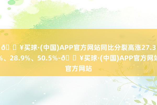 🔥买球·(中国)APP官方网站同比分裂高涨27.3%、28.9%、50.5%-🔥买球·(中国)APP官方网站