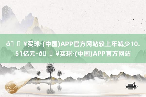 🔥买球·(中国)APP官方网站较上年减少10.51亿元-🔥买球·(中国)APP官方网站