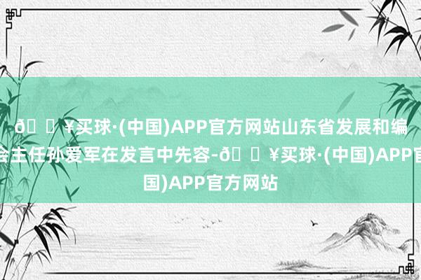 🔥买球·(中国)APP官方网站山东省发展和编削委员会主任孙爱军在发言中先容-🔥买球·(中国)APP官方网站