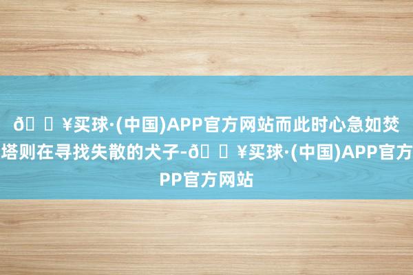 🔥买球·(中国)APP官方网站而此时心急如焚的丽塔则在寻找失散的犬子-🔥买球·(中国)APP官方网站