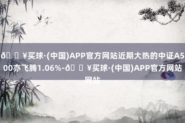 🔥买球·(中国)APP官方网站近期大热的中证A500亦飞腾1.06%-🔥买球·(中国)APP官方网站