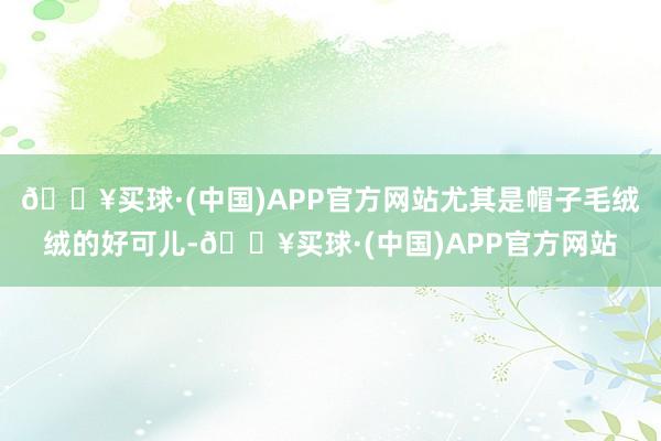 🔥买球·(中国)APP官方网站尤其是帽子毛绒绒的好可儿-🔥买球·(中国)APP官方网站